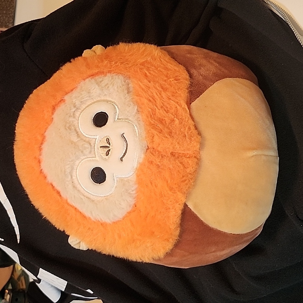 8 inch Robb the Orangutan Squishmallow